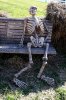 cb93fe7325b610f2dfc4428f356f0639_22-funny-skeletons-you-never-waiting-skeleton-memes_500-750.jpeg