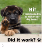 hi-i-just-stopped-by-to-make-your-day-better-16243438.png