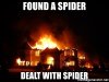 found-a-spider-dealt-with-spider.jpg
