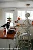 Skeleton-Kitchen-3.jpg