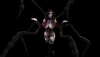spider02.png