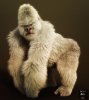 gorilla-for-genesis-8-male-04-daz3d.jpg