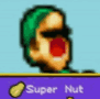 Luigi Super Nut.gif