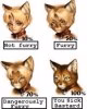 Furry_scale.jpg