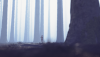 476737_day4cor_19dreamforest_02_pullfocus.png