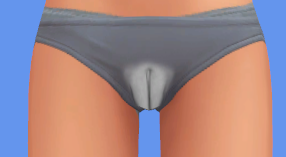 Sims 4 vagina
