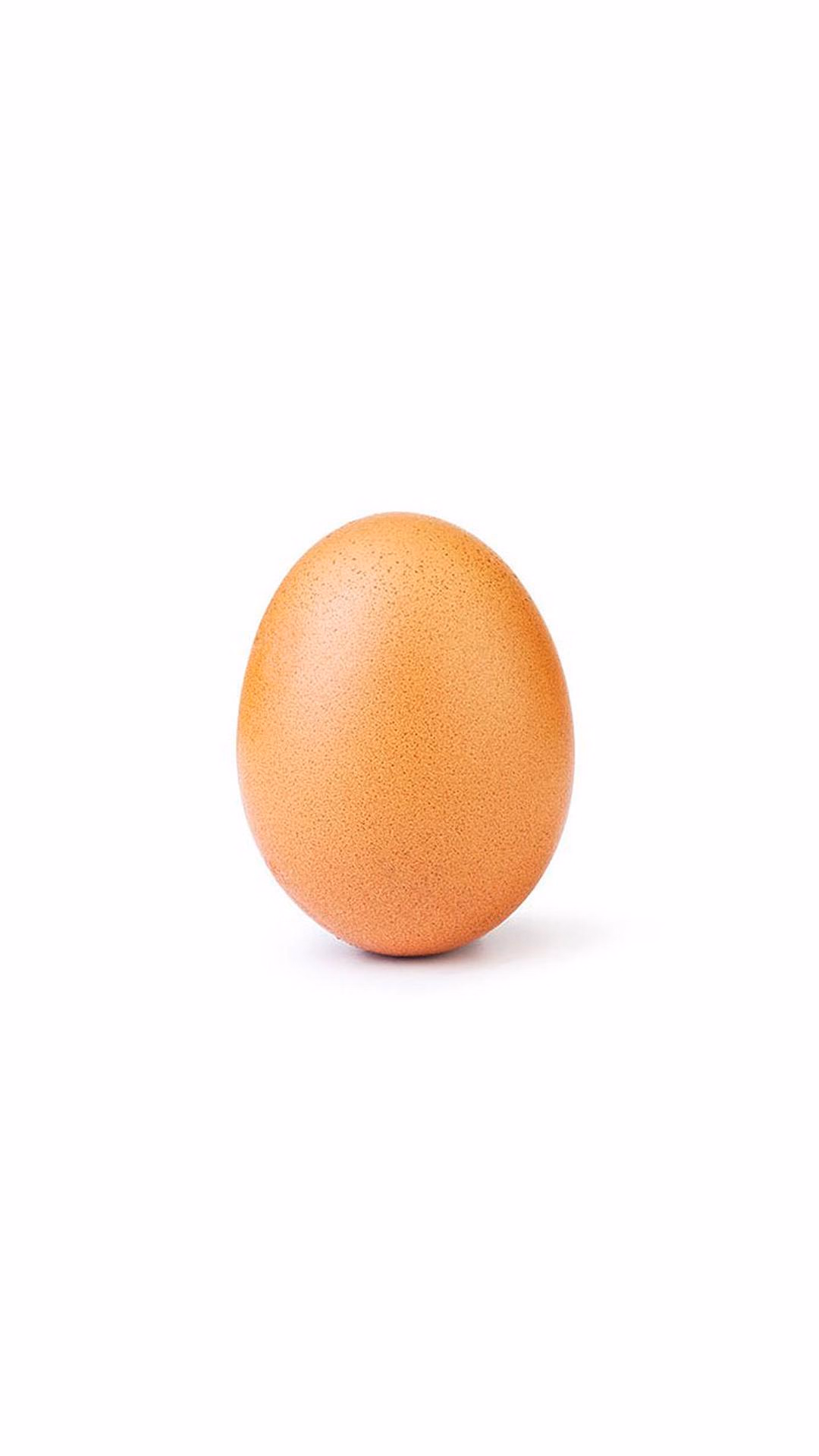 Eggs android