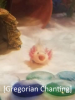 axolotle.png