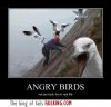 2842-real-life-angry-birds-win_w.jpg