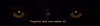 warn.jpg warn.jpg