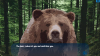 787713_Screenshot_8.png