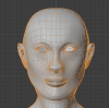 Face Topology.png