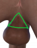 triangle2.png