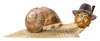 KoGa3 - Snail speed.png