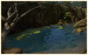 160x100foreststream.png 160x100foreststream.png
