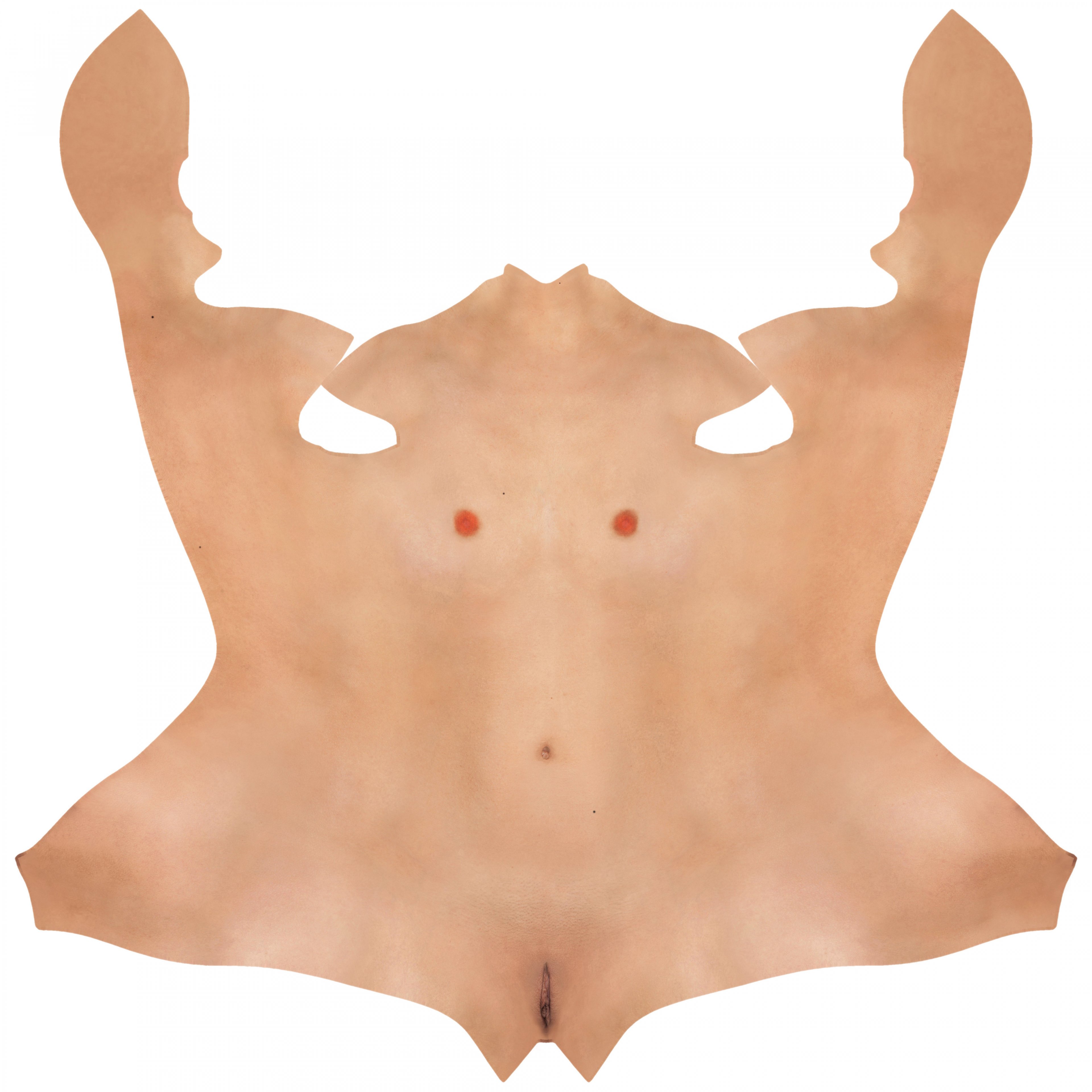 Female Body Texture.