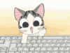 cat-typing-7.gif