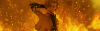 1530597_Banner2b.png