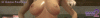 BoobsBanner.gif BoobsBanner.gif