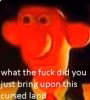 what the f wtf did you just bring upon this cursed land.jpg