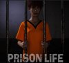 Prison Life.jpg