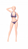 IS_C_2 Color Test DRAW Scale 9.png