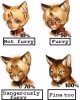 Furry_scale1.jpg