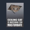 thumb_ceiling-cat-is-watching-you-masturbate-ceiling-cat-ceiling-50370229.png