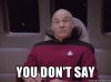 surprised-picard-you-dont-say.jpg