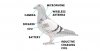 pigeon-drone.jpg