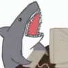 shark-typing.gif