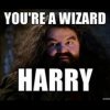 wizard harry.jpg