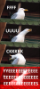 SEAGULL.png