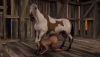 Kara X Horse Primary Camera Test 1.png