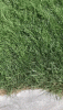 touch-grass.gif