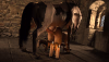 Lagertha X Daz Horse Secondary Camera Test.png