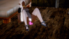 Screenshot (262).png