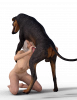dogbj1.png