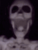 skeleton-scared.gif
