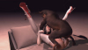 téléchargement (12).png