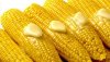 some corn.jpg