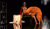 Lady in Red 02_61f03777b53d1.png
