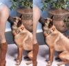Test8_PW-blur.png