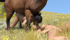riding-10.png
