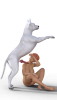 look.png