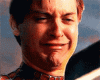 spider-man-tobey-maguire.gif