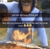 807n0k.png