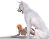 1710703939661.png