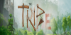 thetribe.png