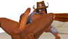 SER1.png
